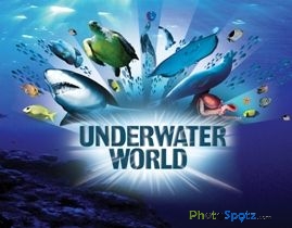 underwater-world